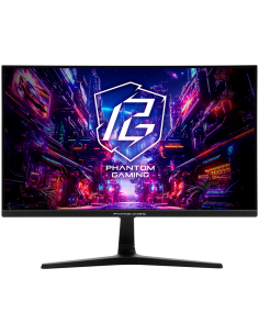 Asrock Gaming Monitor PG25FFT 2